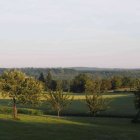 Vivid Post-Impressionist landscape with rolling hills and dotted sky