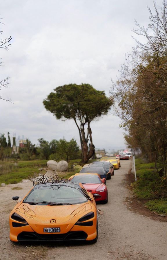 Vibrant orange sports car in rural setting with line of cars and unique tree