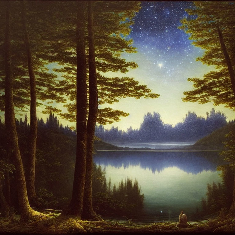 Tranquil night landscape with starry sky, lake, forest, and person.
