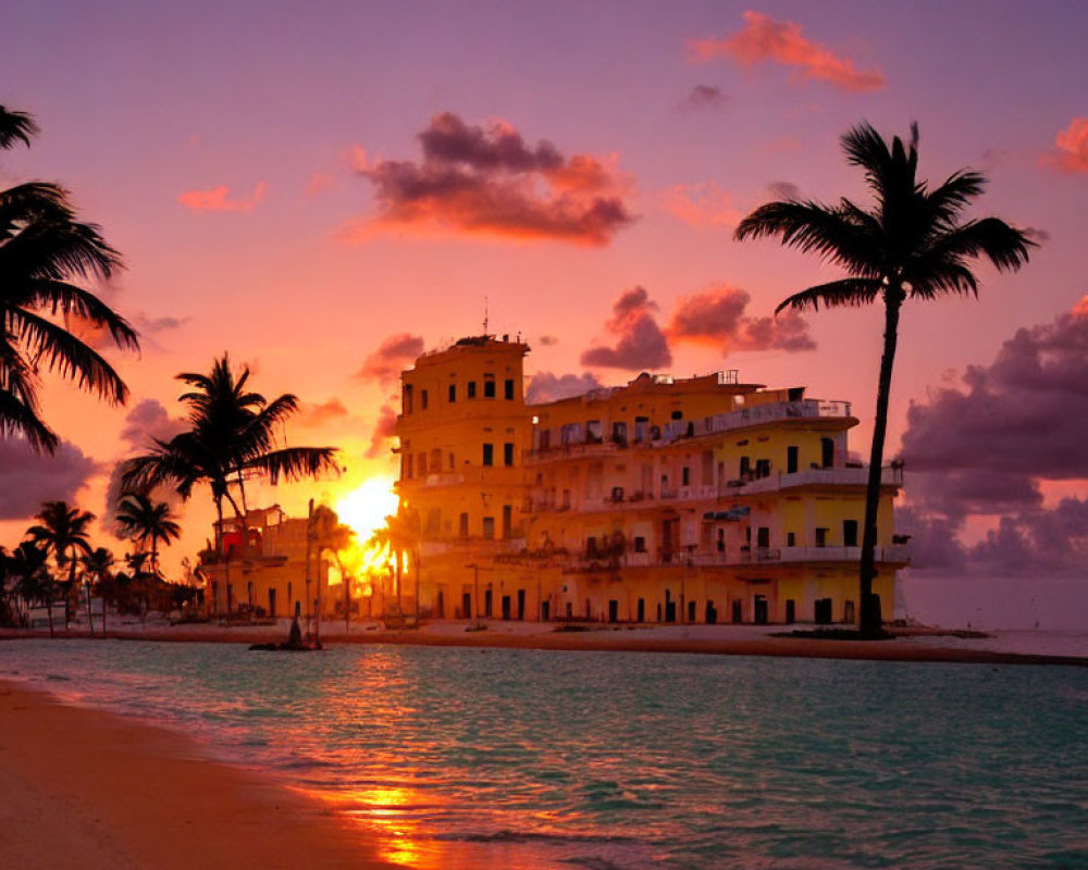 Vivid orange and pink sunset behind waterfront building and palm tree