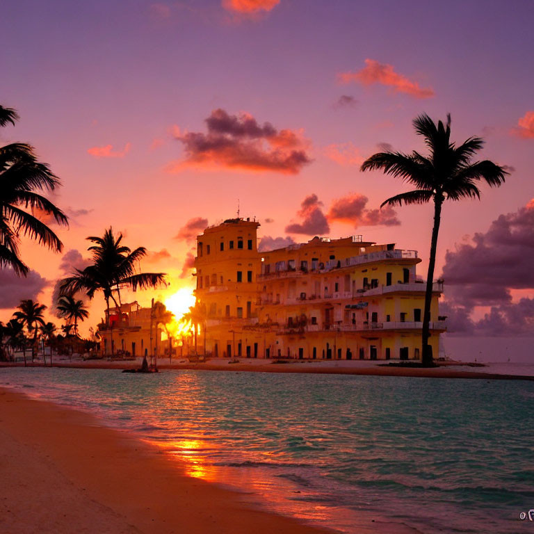 Vivid orange and pink sunset behind waterfront building and palm tree