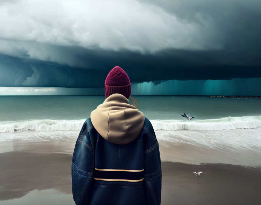 Figure in jacket and beanie gazes at stormy sea with dark clouds and seagulls.