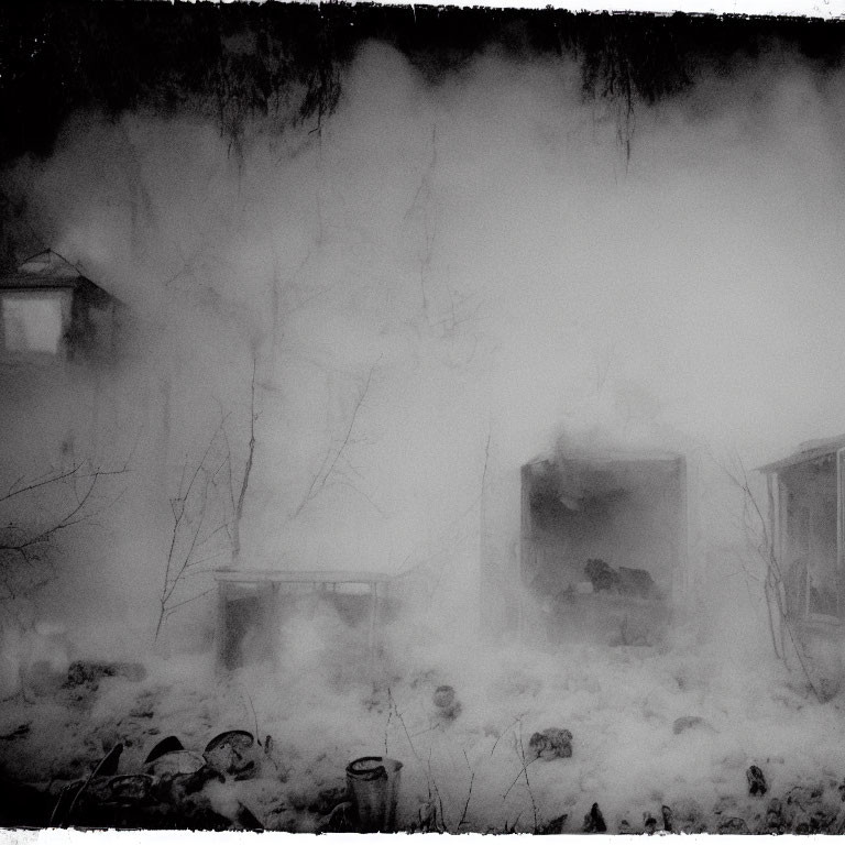 Misty black and white landscape with bare trees and obscured structures