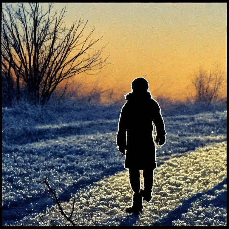 Person walking in frosted countryside at sunrise with long shadows