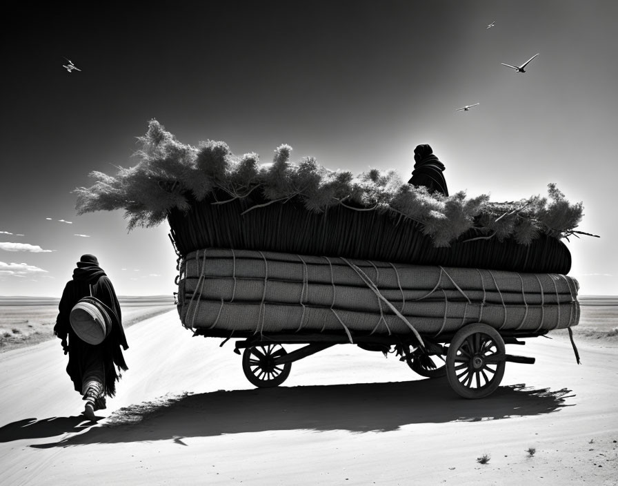 Two people pushing loaded cart on sandy trail with birds in sky.