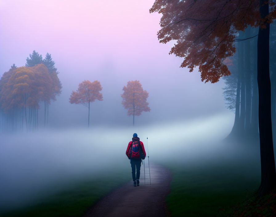 Person with Red Backpack Walking on Misty Autumn Path