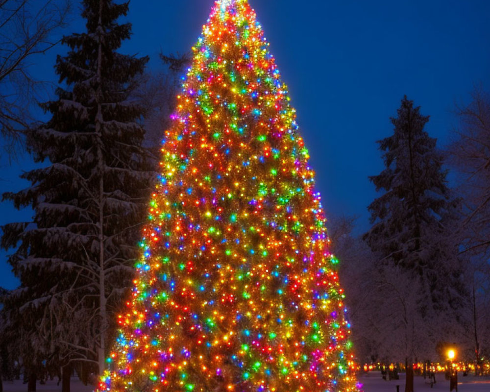 Colorful lights on large outdoor Christmas tree with star topper against snowy landscape