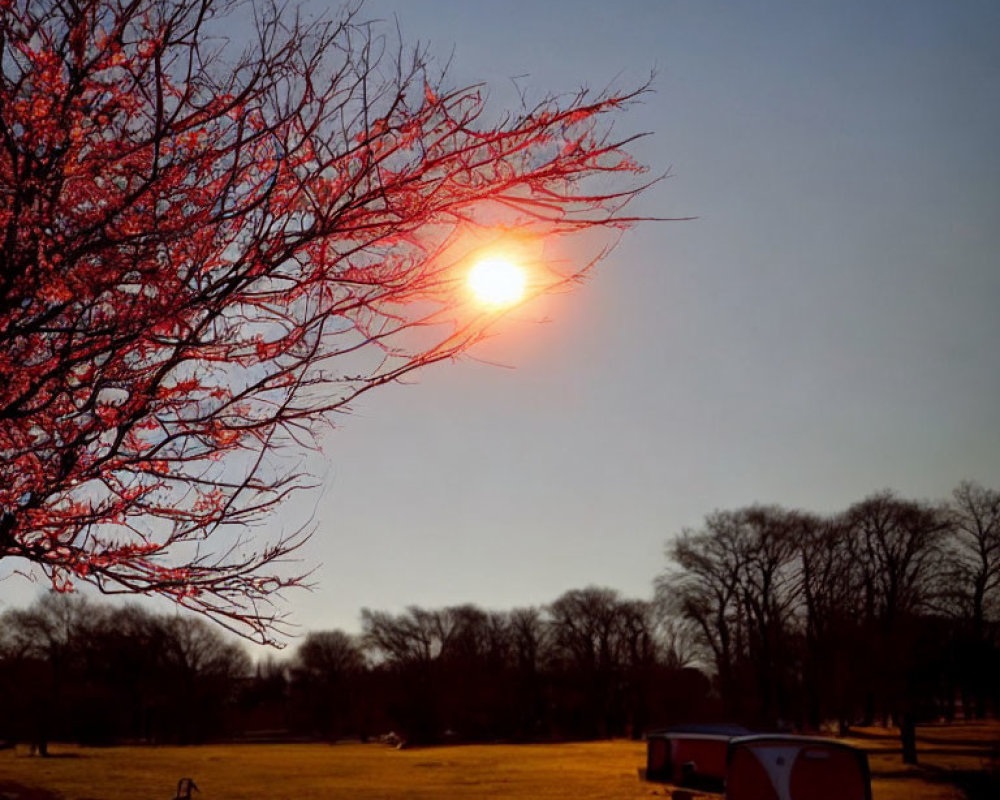 Tranquil sunset scene with tree, camper, and moon