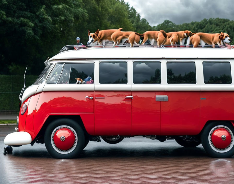 Vintage Red and White Volkswagen Bus with Dogs on Roof Under Cloudy Skies