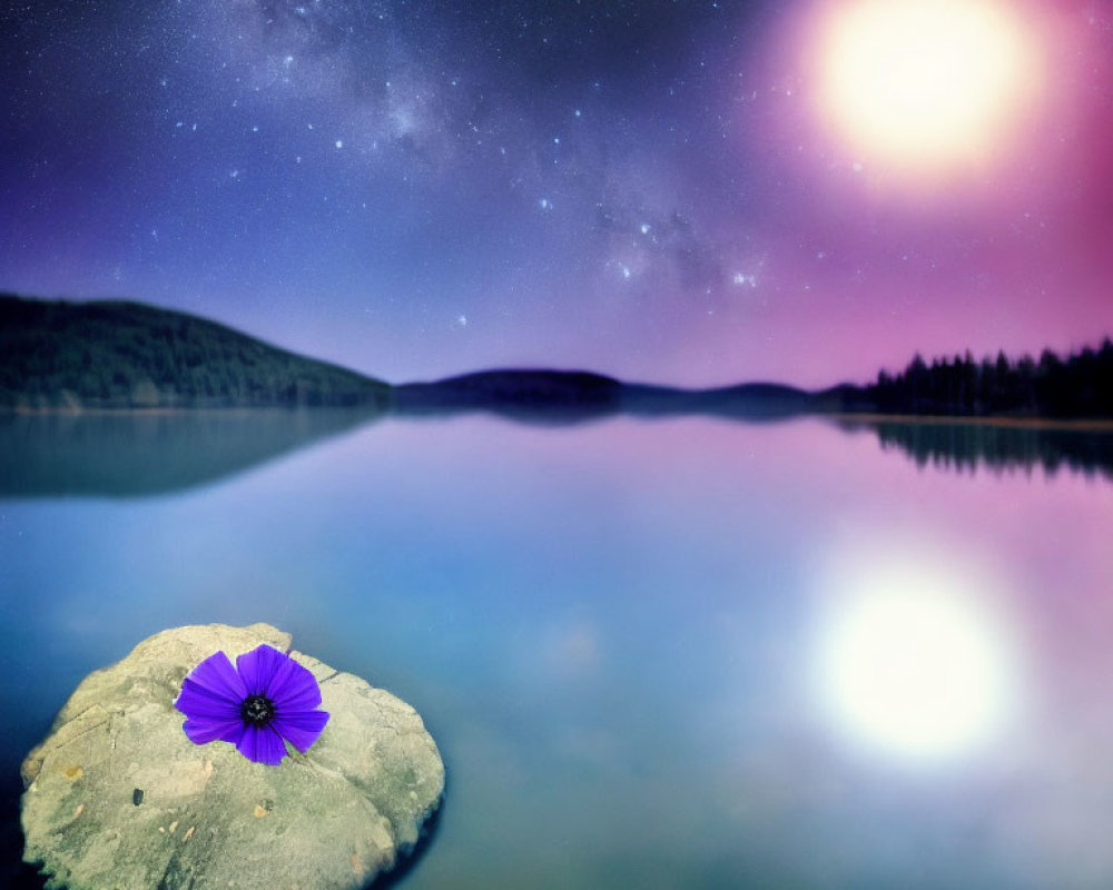 Starry Night Sky Over Serene Lake with Purple Flower