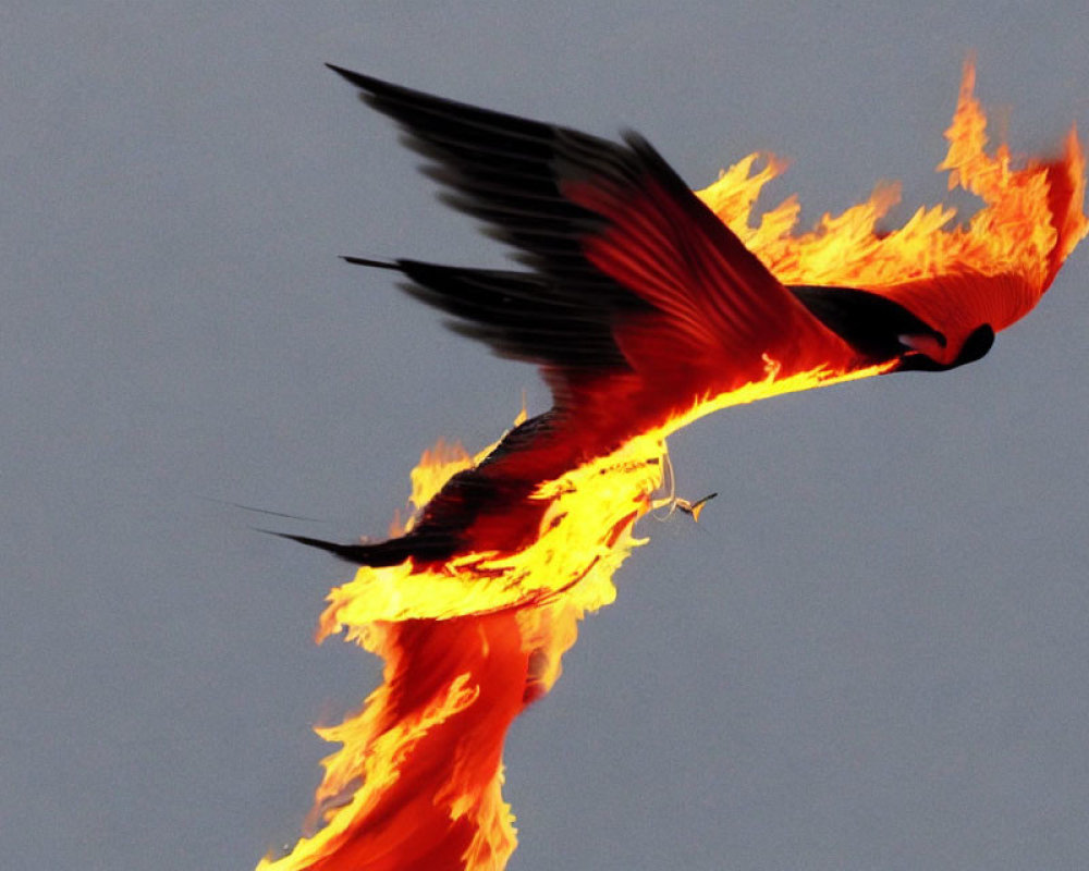 Bird engulfed in flames against dim sky