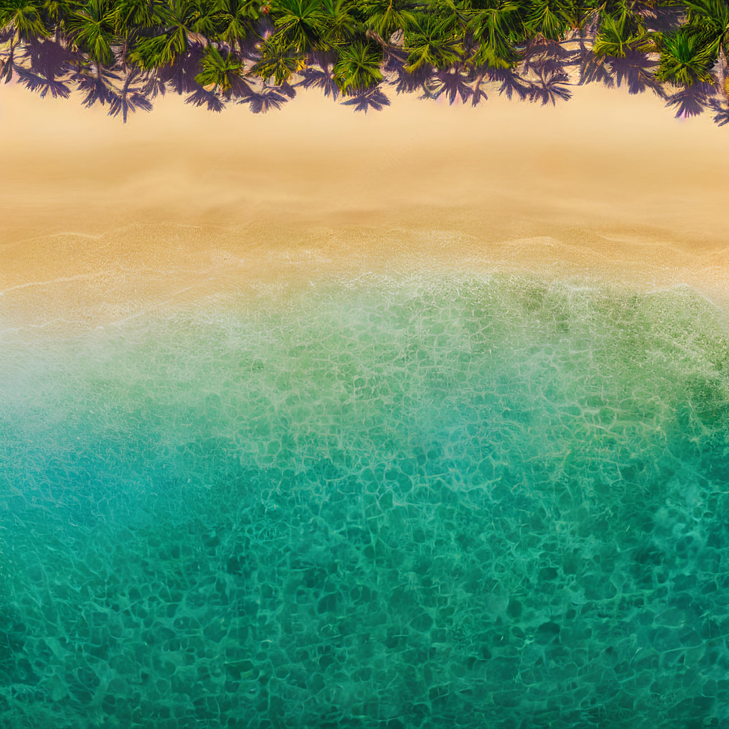 Tropical Beach Aerial View with Turquoise Waters and Palm Trees