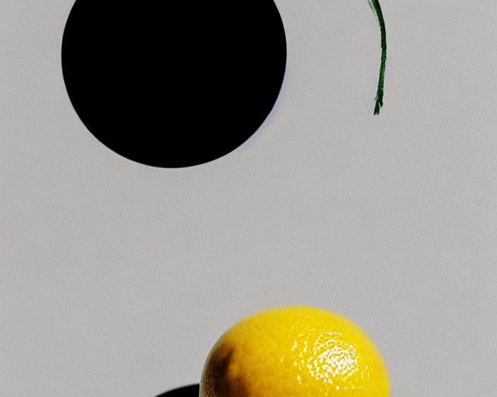 Sprouting lemon shadow on light surface near black circle