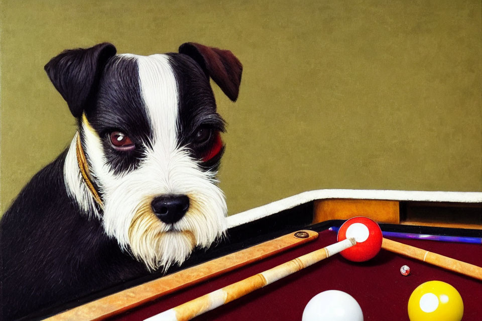 Black and white dog playing billiards with a cue stick