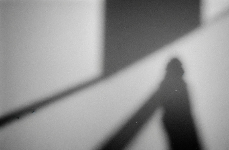 Monochrome image: elongated person shadow on geometric backdrop.