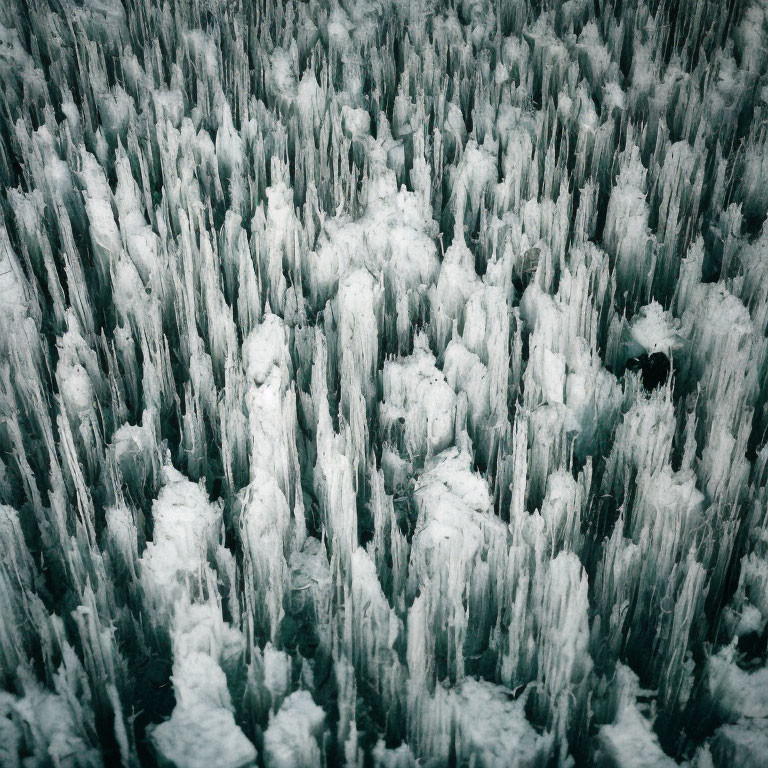 Snow-covered dense forest in aerial view.