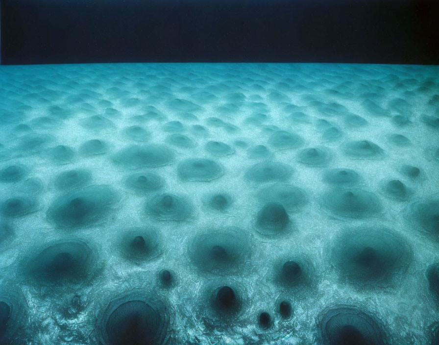 Seabed with Circular Depressions in Blue Light