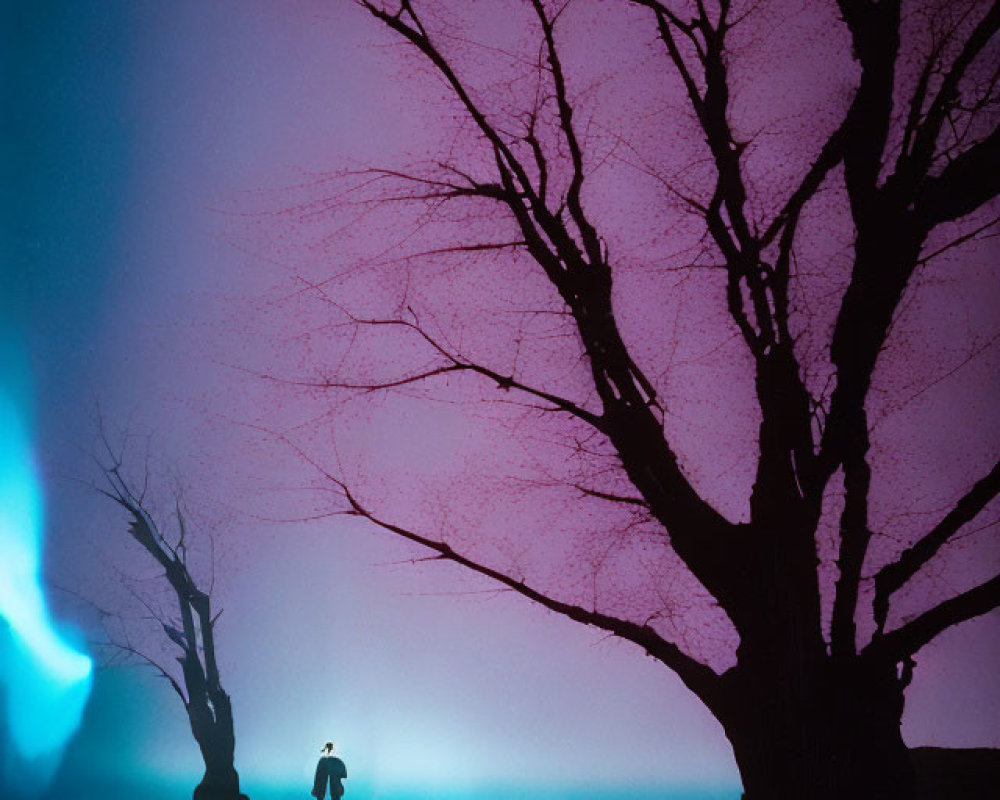 Nighttime silhouette between bare trees under purple sky with blue light.