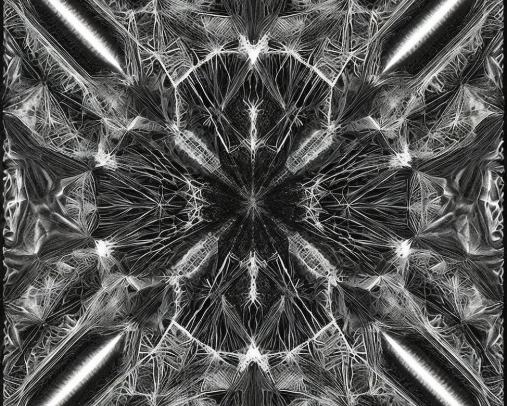 Symmetrical Monochrome Kaleidoscopic Pattern with Abstract Shapes