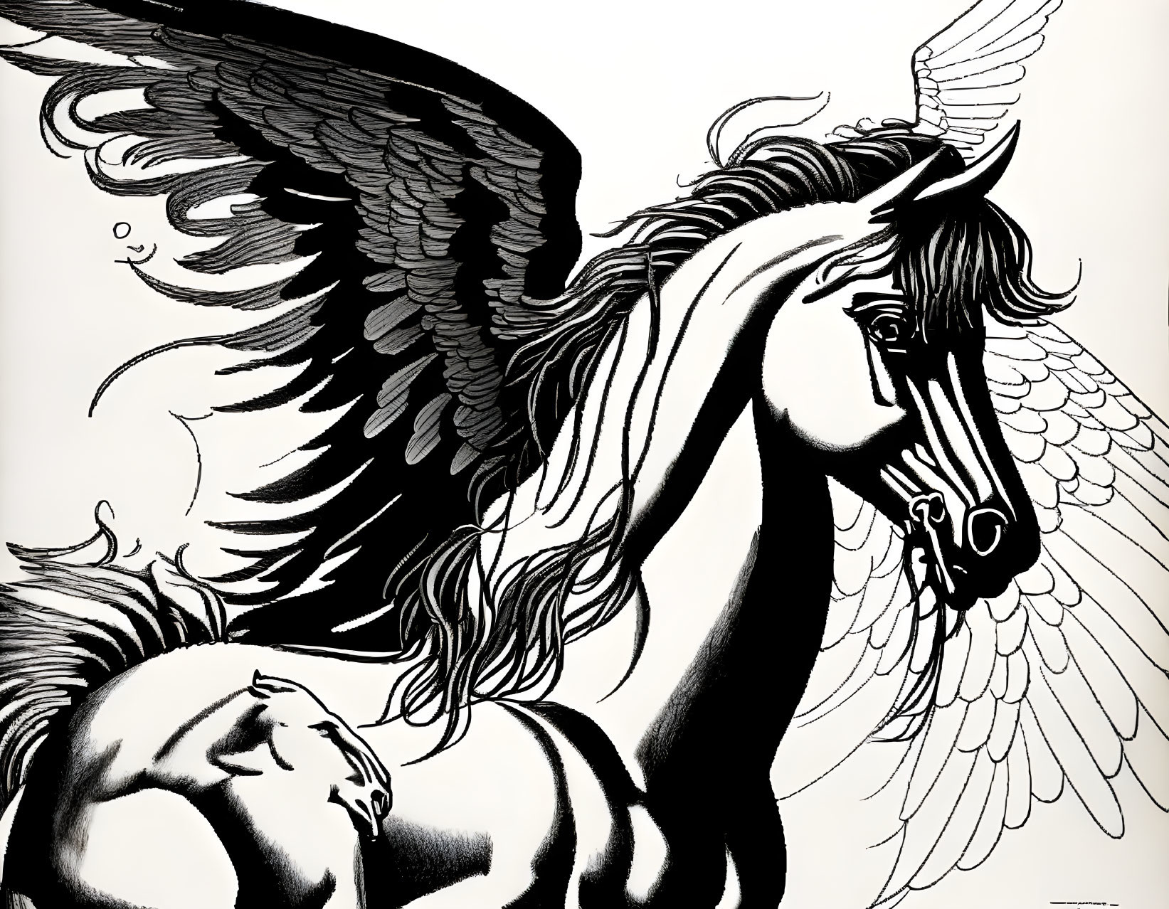 Detailed black and white illustration of majestic winged horse with flowing mane