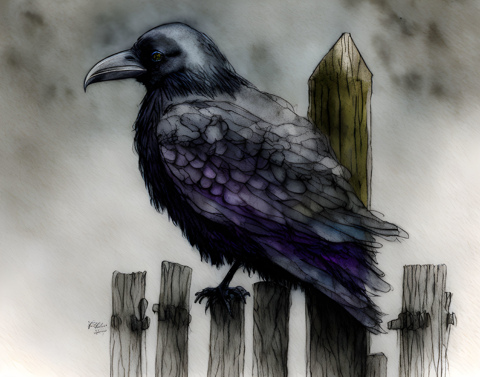 Glossy Purple-Feathered Raven on Old Wooden Fence in Misty Setting