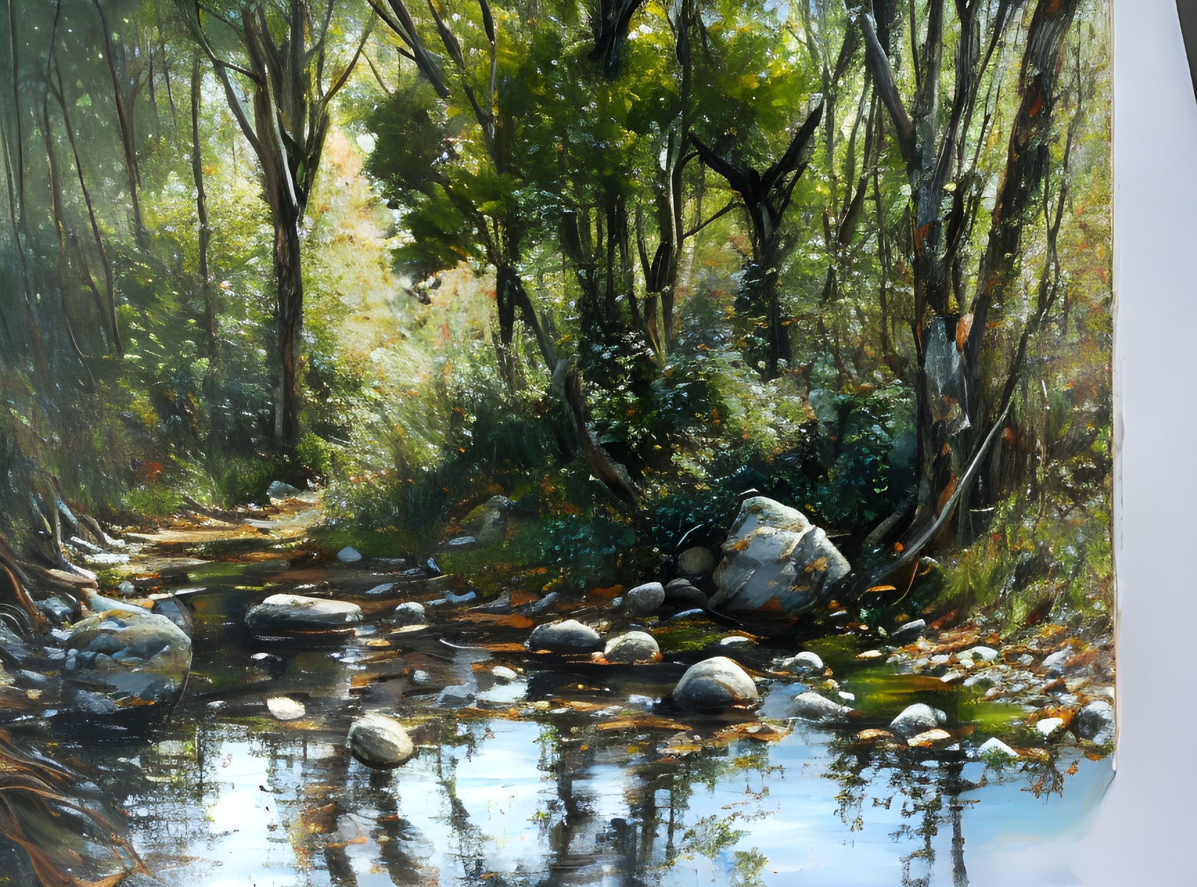 Tranquil forest stream with sunlight filtering through trees