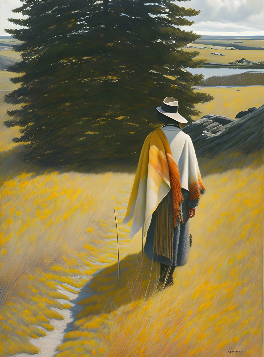 Person in Hat and Cape Near Tree in Golden Field with Path