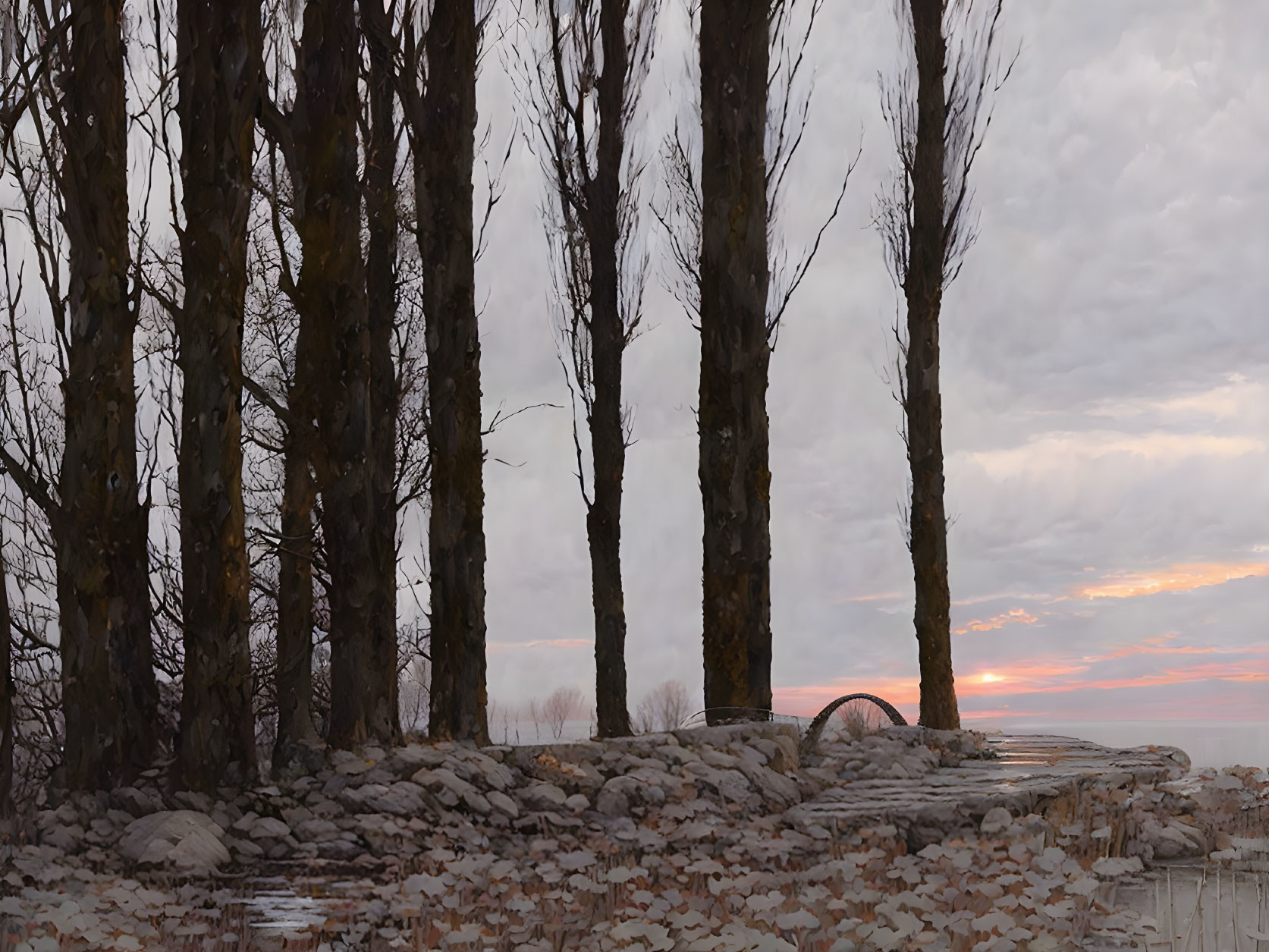 Bare tall trees in stony landscape under tranquil sunset