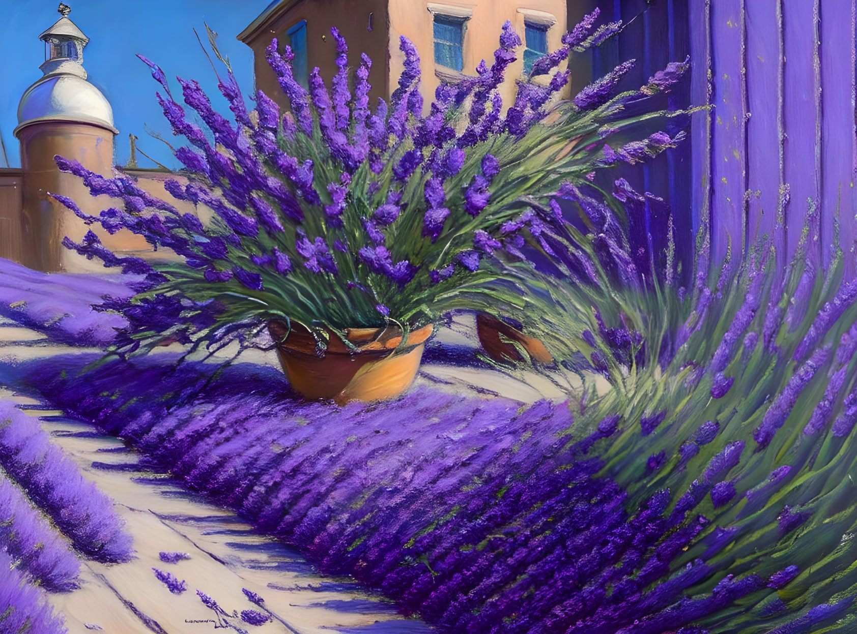 Purple Lavender Plants in Sunlit Alleyway with Buildings and Dome