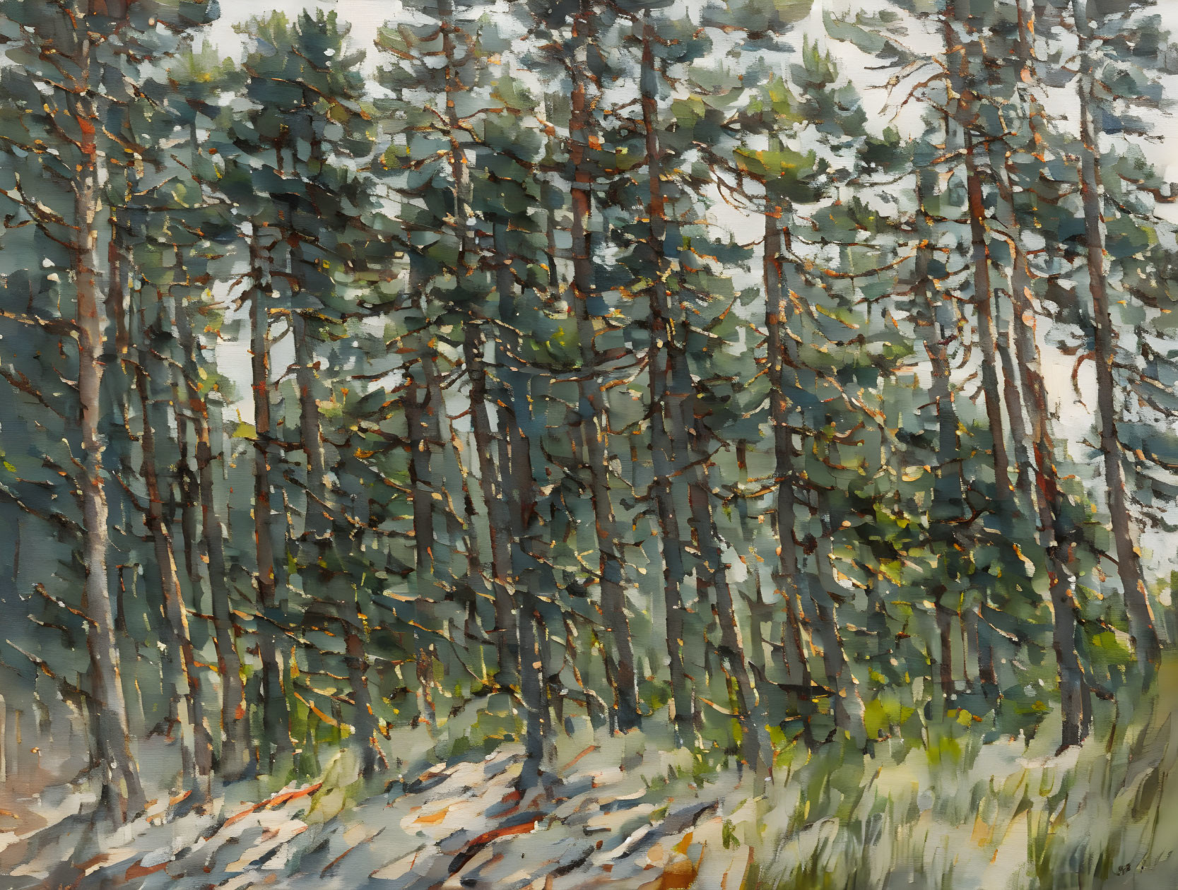 Dense Pine Forest Watercolor Painting with Sunbeams