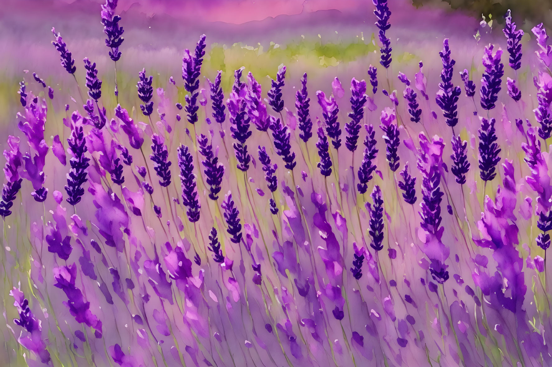 Purple Lavender Field under Colorful Sky: Impressionistic Painting Style