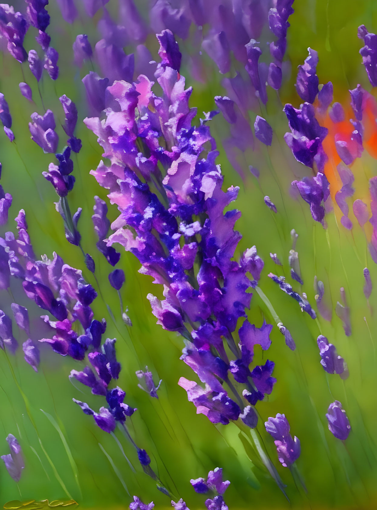 Colorful purple and blue flowers on blurred green and orange backdrop