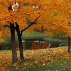 Colorful Autumn Park Painting with Trees, Leaves, and Benches