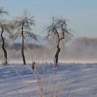 Winter Landscape with Bare Trees and Frozen Lake