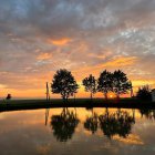 Tranquil sunset with orange clouds, reflected water, bare trees, and flying birds