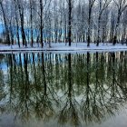 Snow-covered cabin by reflective lake in tranquil winter scene