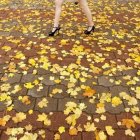 Quaint European street watercolor in autumn hues