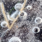 Winter Scene with Snow-Covered Branches and White Orbs