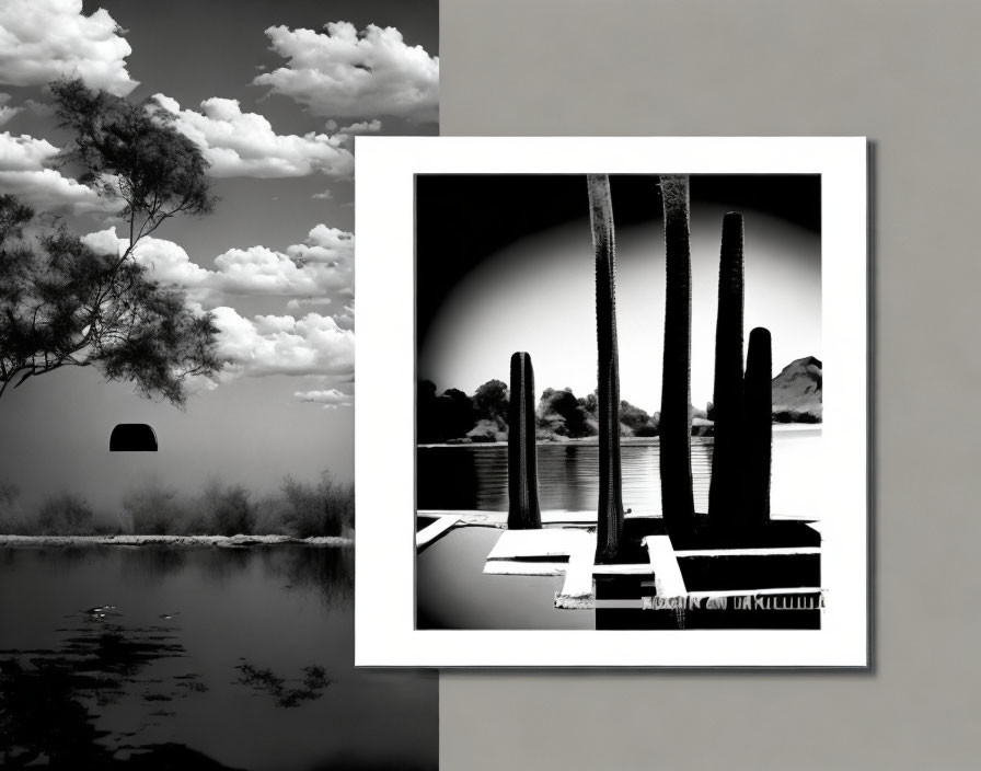 Monochrome desert landscape with tall cacti and reflective water