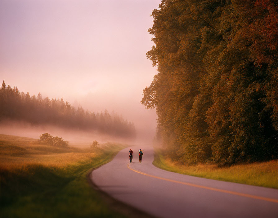 Three cyclists on curving road in misty forest at sunrise/sunset