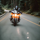 Wolf-headed humanoid on motorcycle rides forest road at dusk