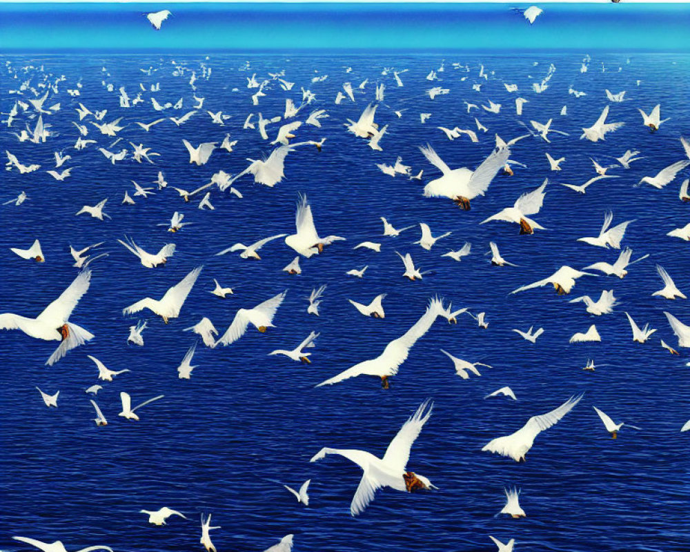 White Birds Flying Low Over Deep Blue Sea