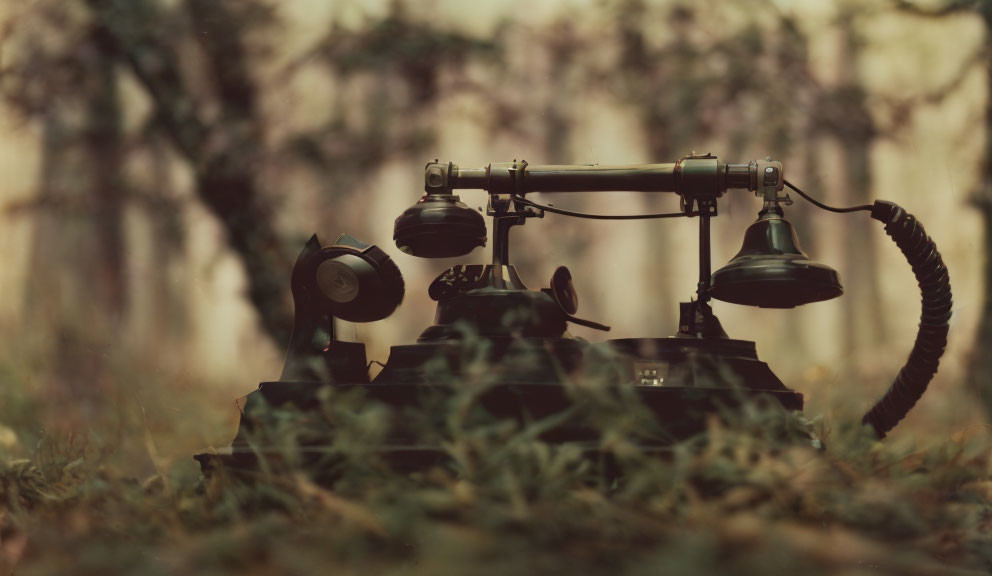 Vintage rotary dial telephone in grass setting symbolizes a bygone era