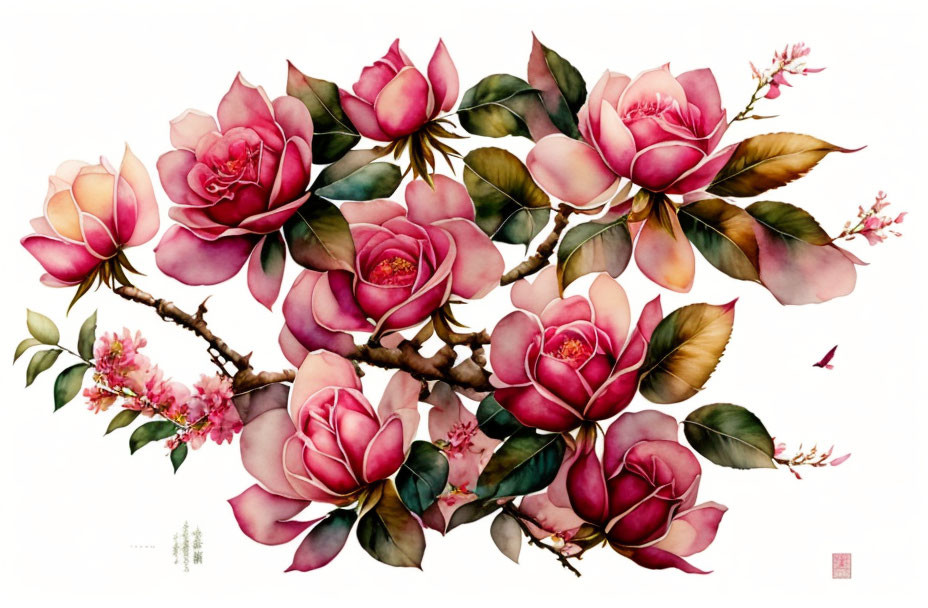 Detailed Illustration of Pink Magnolia Flowers and Butterfly