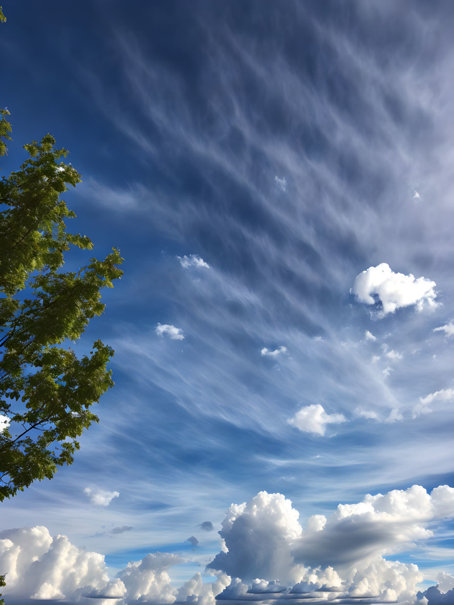 Tranquil blue sky with cirrus and cumulus clouds over tree silhouette