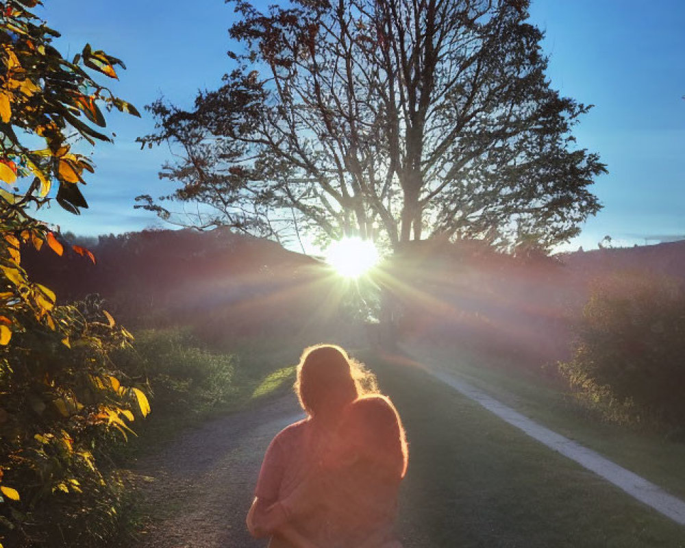 Embracing couple on path at sunset with tree silhouette