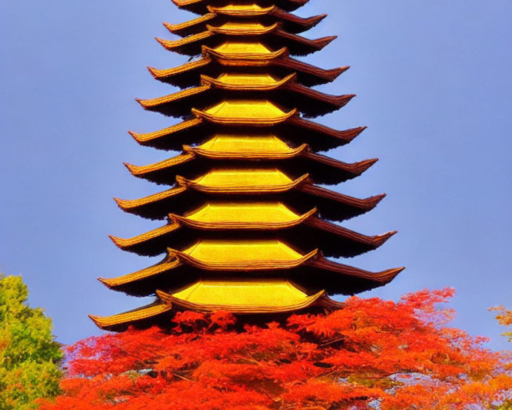 Japanese pagoda surrounded by red autumn leaves under clear blue sky