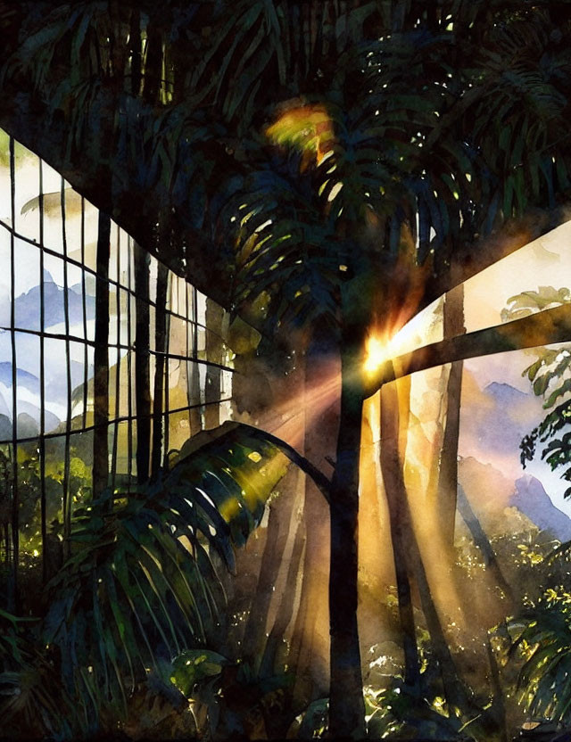 Sunlight illuminates dense tropical forest scene