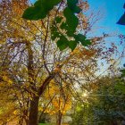 Tranquil river landscape with autumn trees and dramatic sky