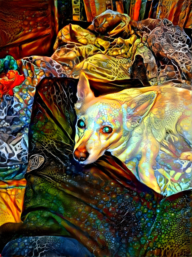 The acid dog